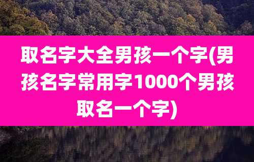取名字大全男孩一个字(男孩名字常用字1000个男孩取名一个字)