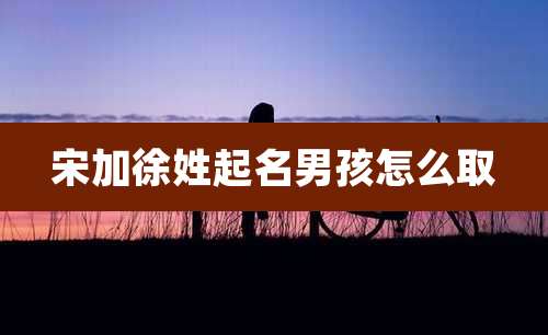 宋加徐姓起名男孩怎么取