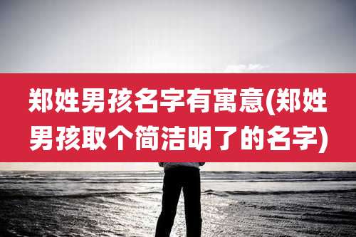 郑姓男孩名字有寓意(郑姓男孩取个简洁明了的名字)