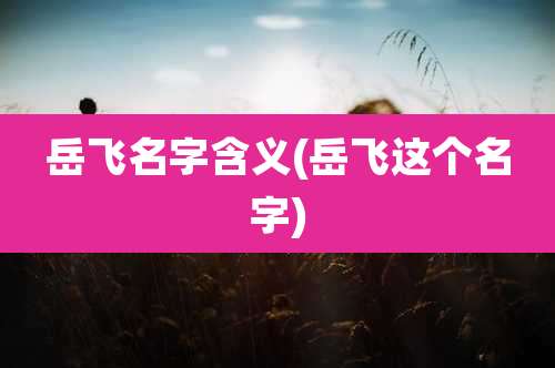 岳飞名字含义(岳飞这个名字)