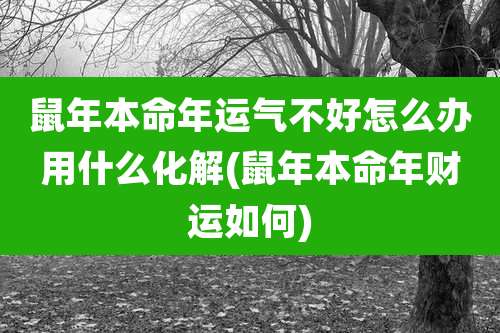鼠年本命年运气不好怎么办用什么化解(鼠年本命年财运如何)