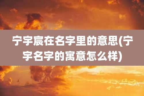 宁宇宸在名字里的意思(宁宇名字的寓意怎么样)
