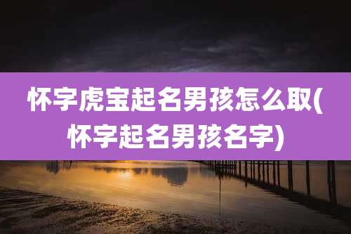 怀字虎宝起名男孩怎么取(怀字起名男孩名字)