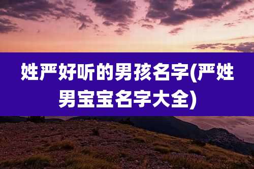 姓严好听的男孩名字(严姓男宝宝名字大全)