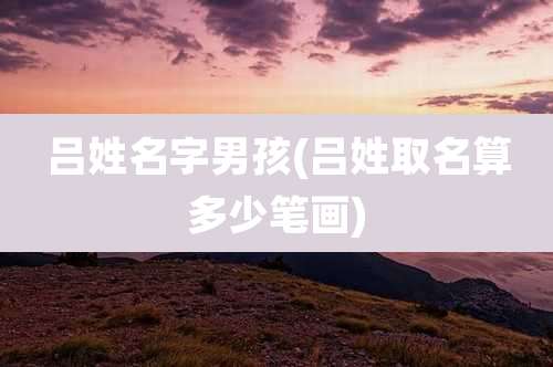 吕姓名字男孩(吕姓取名算多少笔画)