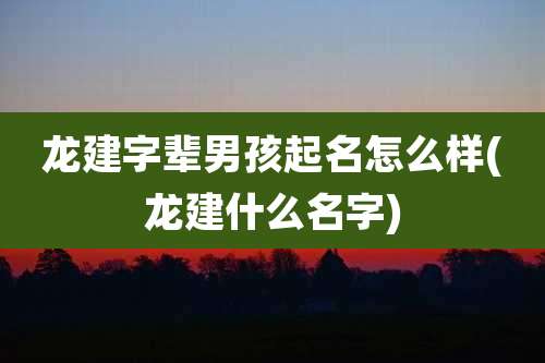 龙建字辈男孩起名怎么样(龙建什么名字)