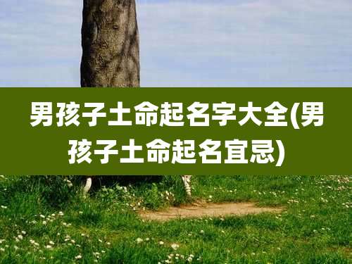 男孩子土命起名字大全(男孩子土命起名宜忌)