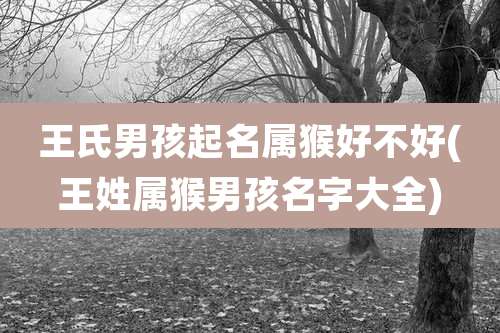 王氏男孩起名属猴好不好(王姓属猴男孩名字大全)