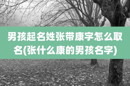 男孩起名姓张带康字怎么取名(张什么康的男孩名字)