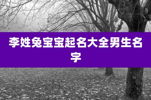 李姓兔宝宝起名大全男生名字