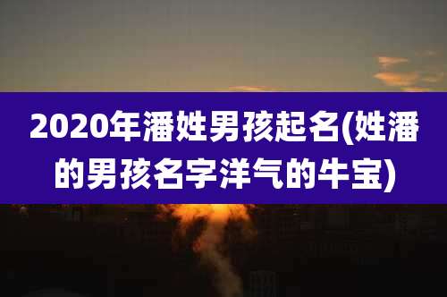 2020年潘姓男孩起名(姓潘的男孩名字洋气的牛宝)