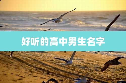 好听的高中男生名字