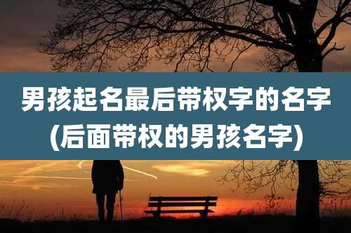 男孩起名最后带权字的名字(后面带权的男孩名字)