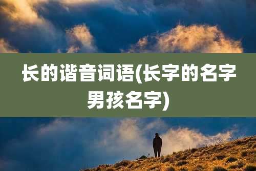 长的谐音词语(长字的名字男孩名字)