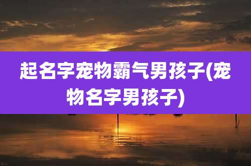 起名字宠物霸气男孩子(宠物名字男孩子)