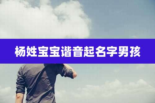 杨姓宝宝谐音起名字男孩