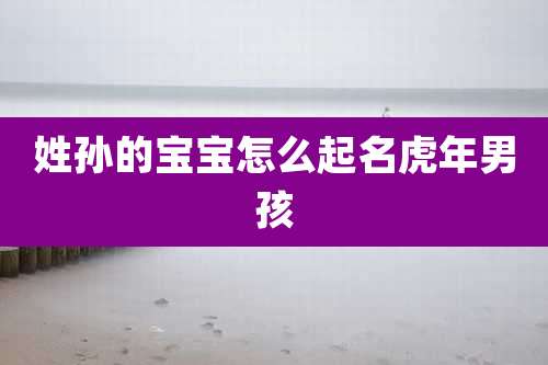 姓孙的宝宝怎么起名虎年男孩