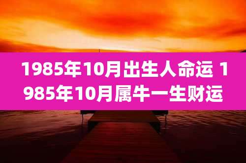 1985年10月出生人命运 1985年10月属牛一生财运