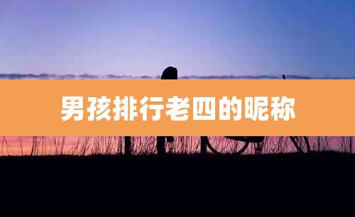 男孩排行老四的昵称