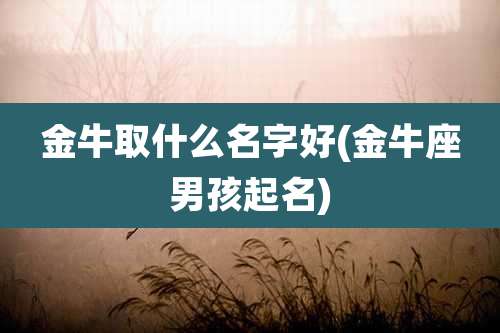 金牛取什么名字好(金牛座男孩起名)