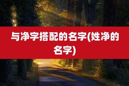 与净字搭配的名字(姓净的名字)