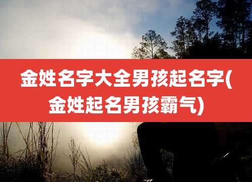 金姓名字大全男孩起名字(金姓起名男孩霸气)