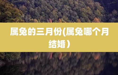 属兔的三月份(属兔哪个月结婚)