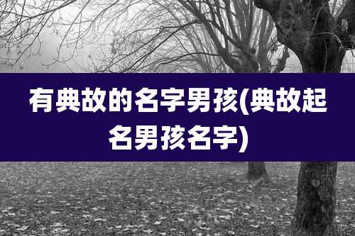 有典故的名字男孩(典故起名男孩名字)