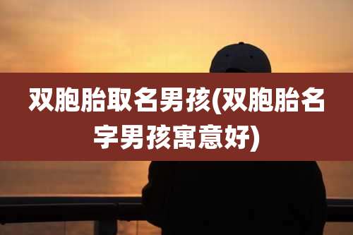 双胞胎取名男孩(双胞胎名字男孩寓意好)