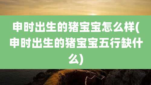 申时出生的猪宝宝怎么样(申时出生的猪宝宝五行缺什么)