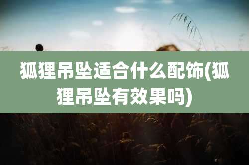 狐狸吊坠适合什么配饰(狐狸吊坠有效果吗)