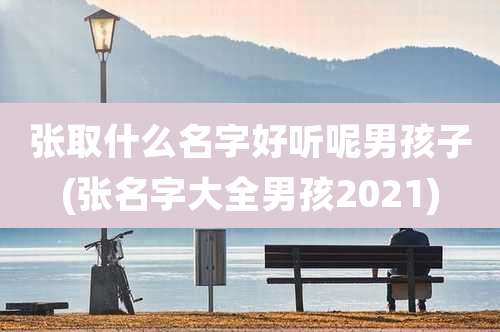 张取什么名字好听呢男孩子(张名字大全男孩2021)