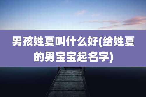 男孩姓夏叫什么好(给姓夏的男宝宝起名字)