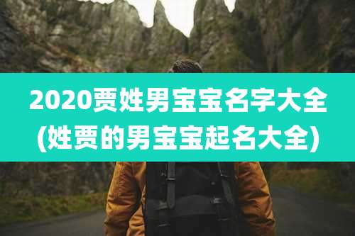 2020贾姓男宝宝名字大全(姓贾的男宝宝起名大全)