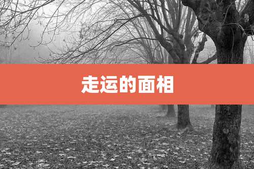 走运的面相