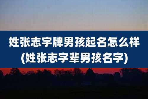 姓张志字牌男孩起名怎么样(姓张志字辈男孩名字)