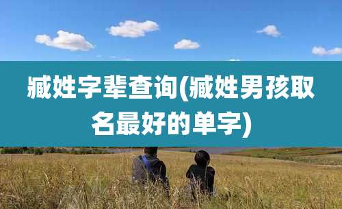 臧姓字辈查询(臧姓男孩取名最好的单字)