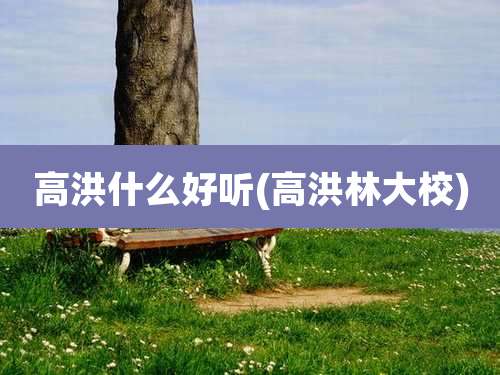高洪什么好听(高洪林大校)