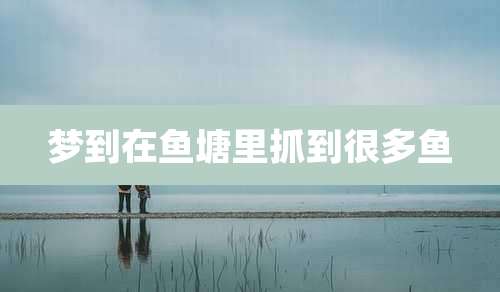 梦到在鱼塘里抓到很多鱼