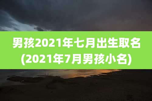 男孩2021年七月出生取名(2021年7月男孩小名)