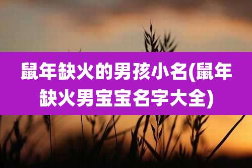 鼠年缺火的男孩小名(鼠年缺火男宝宝名字大全)