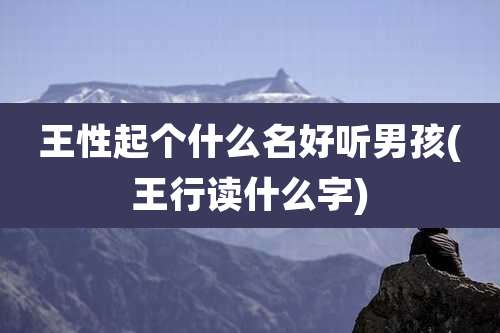 王性起个什么名好听男孩(王行读什么字)