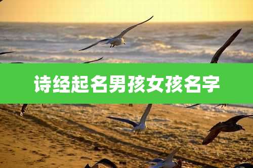 诗经起名男孩女孩名字