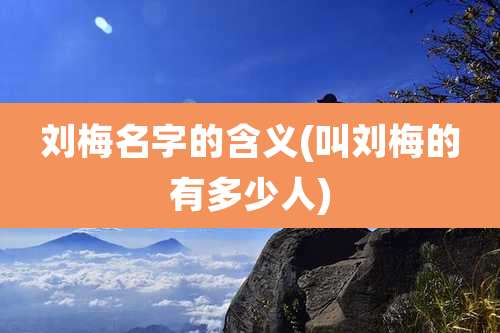 刘梅名字的含义(叫刘梅的有多少人)