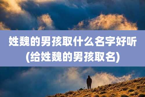 姓魏的男孩取什么名字好听(给姓魏的男孩取名)