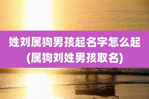 姓刘属狗男孩起名字怎么起(属狗刘姓男孩取名)