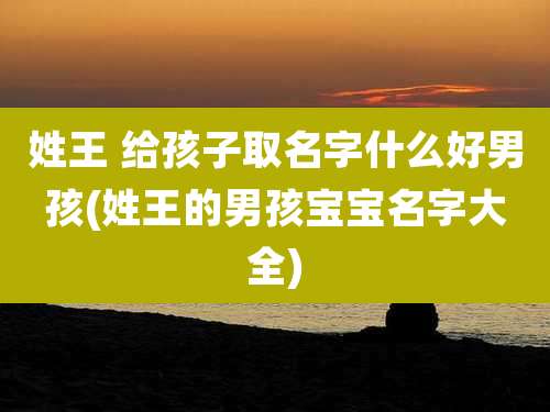 姓王 给孩子取名字什么好男孩(姓王的男孩宝宝名字大全)