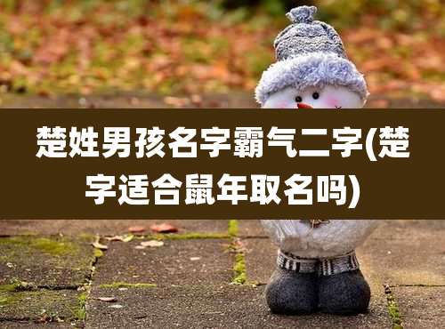 楚姓男孩名字霸气二字(楚字适合鼠年取名吗)