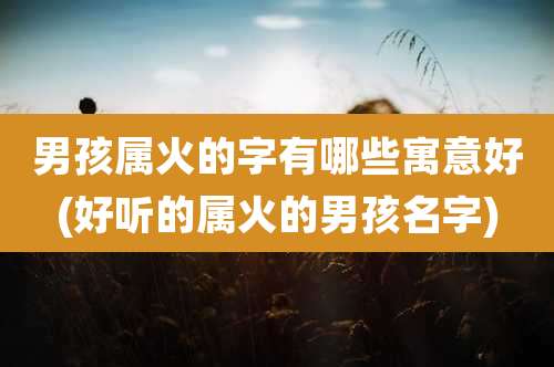 男孩属火的字有哪些寓意好(好听的属火的男孩名字)