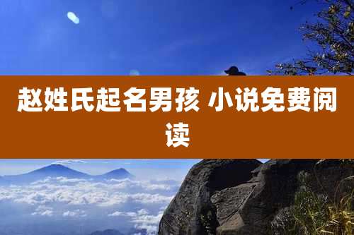 赵姓氏起名男孩 小说免费阅读